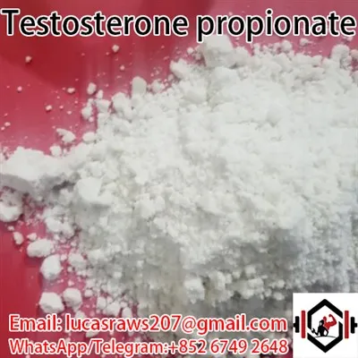 Testosteron propionat CAS 57 85 2